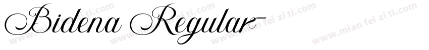Bidena Regular字体转换